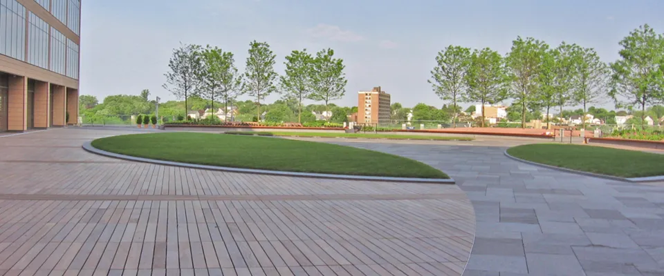 Rooftop terrace with curved lawns, wood and stone paving and young trees
