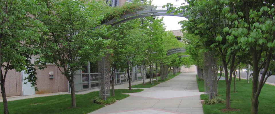 Corporate walkway under steel arches, lined with trees and lawn